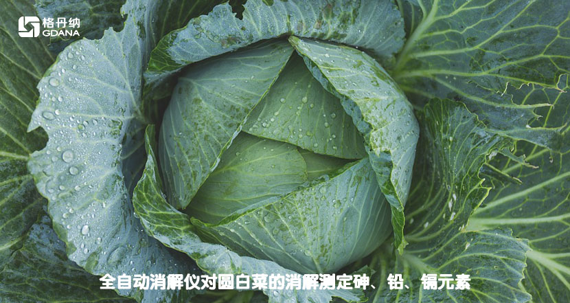 全自動(dòng)消解儀對(duì)圓白菜的消解測定砷、鉛、鎘元素