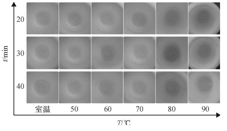不同密閉消解時間、不同水浴溫度的消解效果