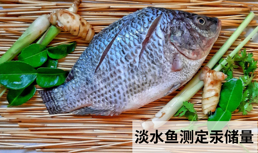 智能石墨消解儀前處理消解淡水魚測(cè)定汞儲(chǔ)量 智能石墨消解儀前處理消解淡水魚測(cè)定汞儲(chǔ)量